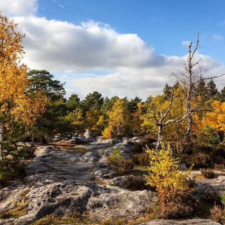 Duplex Charm Fontainebleau Daire Dış mekan fotoğraf