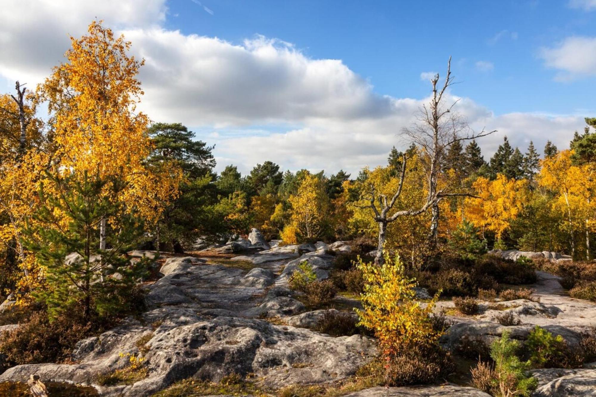 Duplex Charm Fontainebleau Daire Dış mekan fotoğraf